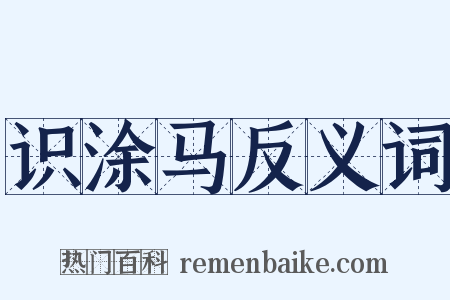 识涂马反义词是什么意思的图片